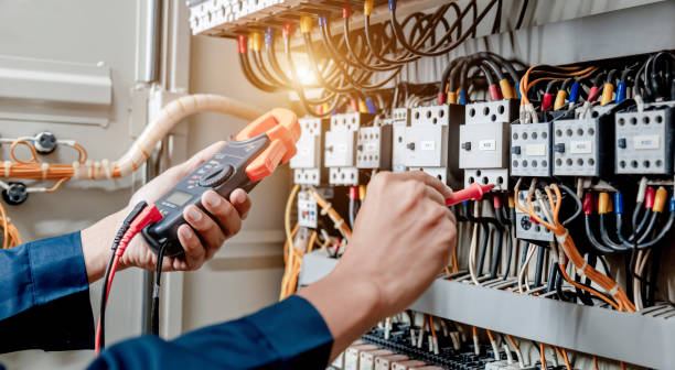 Best Ceiling Fan Installation Electrician  in Web, AL