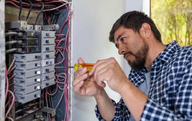 Best Electrical Rewiring Services  in Web, AL